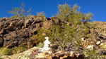 photo thumbnail #2