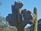 photo thumbnail #11