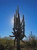 photo thumbnail #3