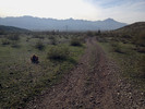 photo thumbnail #11