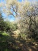 photo thumbnail #15