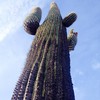 photo thumbnail #6