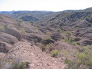 photo thumbnail #7