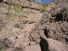 photo thumbnail #11
