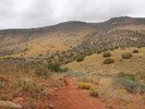 photo thumbnail #12