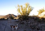 photo thumbnail #2