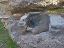 photo thumbnail #7