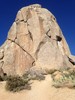 photo thumbnail #4
