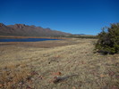photo thumbnail #7