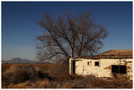 photo thumbnail #12