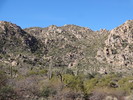 photo thumbnail #15