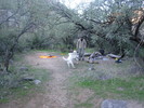 photo thumbnail #1