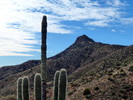 photo thumbnail #1