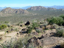 photo thumbnail #7