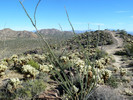 photo thumbnail #10