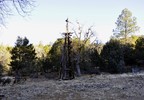 photo thumbnail #5