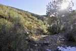 photo thumbnail #7