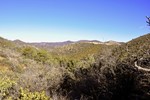 photo thumbnail #8
