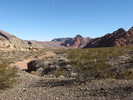 photo thumbnail #3