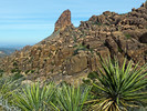 photo thumbnail #3