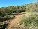 photo thumbnail #13