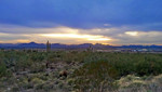 photo thumbnail #5