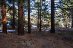 photo thumbnail #10