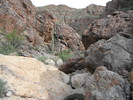 photo thumbnail #10
