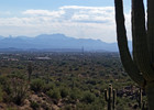 photo thumbnail #9