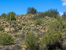 photo thumbnail #14