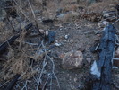 photo thumbnail #2