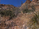 photo thumbnail #4