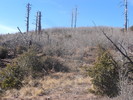photo thumbnail #9
