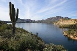 photo thumbnail #7