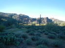 photo thumbnail #7
