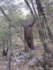 photo thumbnail #4