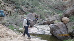 photo thumbnail #5