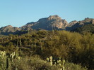 photo thumbnail #1