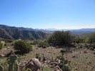 photo thumbnail #7