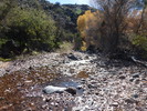 photo thumbnail #11