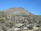 photo thumbnail #4