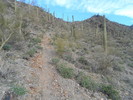 photo thumbnail #3