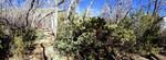 photo thumbnail #13