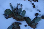 photo thumbnail #4