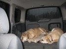 photo thumbnail #10