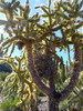 photo thumbnail #14