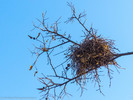 photo thumbnail #15