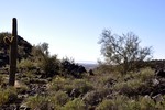 photo thumbnail #3