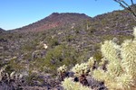 photo thumbnail #5