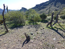 photo thumbnail #10